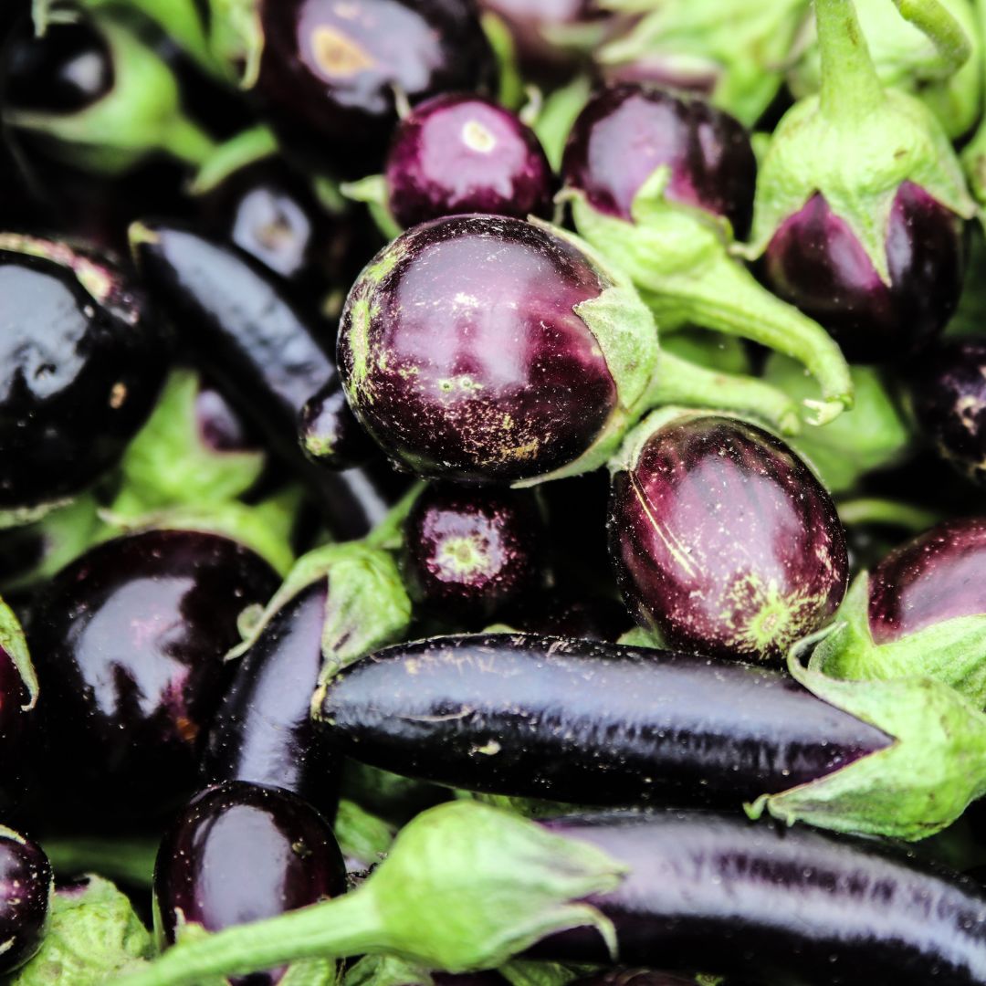 Organic Aubergine