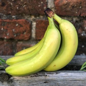 Organic Fairtrade Bananas