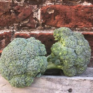 Organic Broccoli (UK)