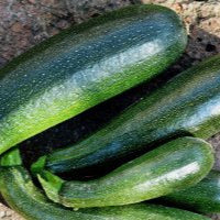 Organic Courgettes - Green