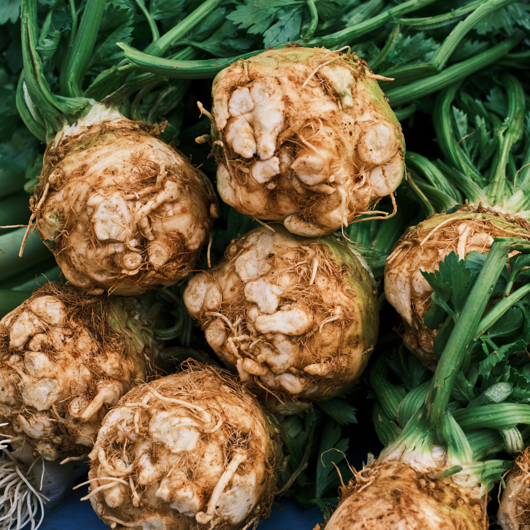 Organic Celeriac