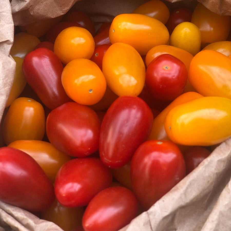 Organic Cherry Plum Tomatoes