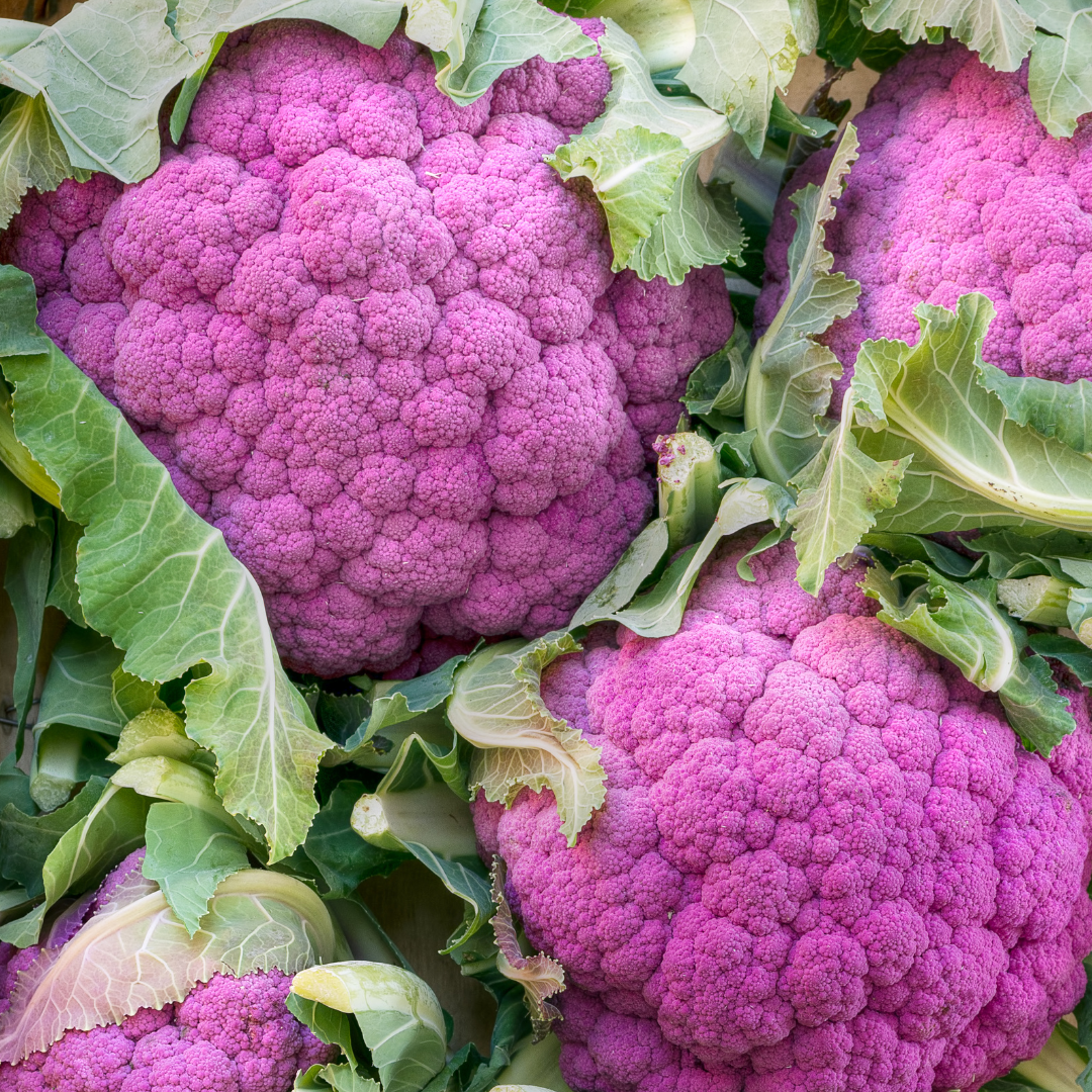 Organic Rainbow Cauliflower