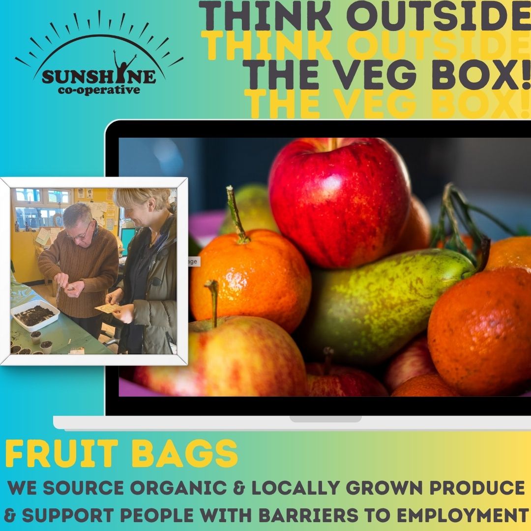 Fruit Bag/Box