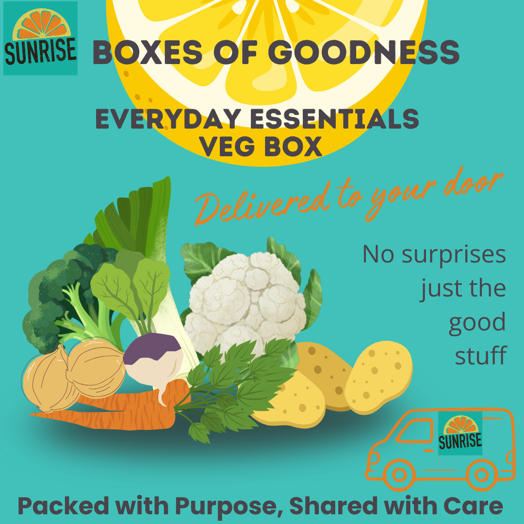 Sunrise Basics Boxes