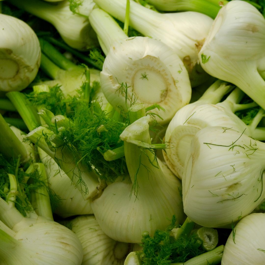 Organic Fennel