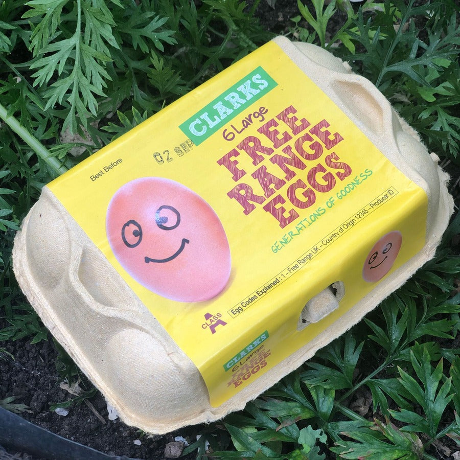 Free Range Eggs (Large)