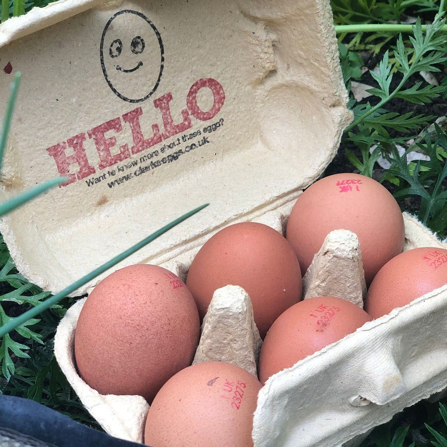 Free Range Eggs (Large)