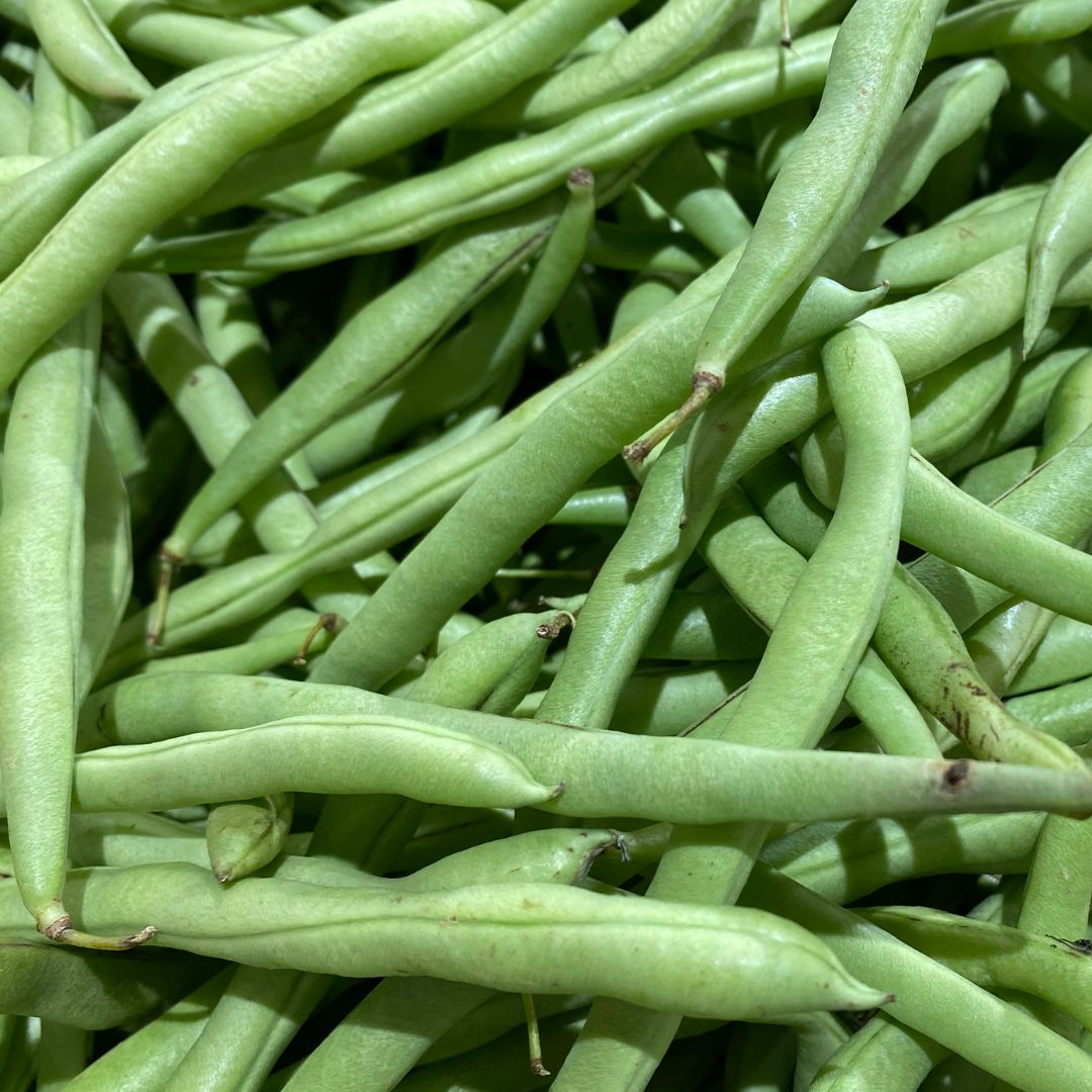Organic French Beans