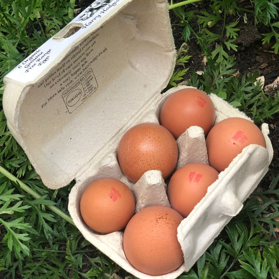 Organic Free Range Eggs
