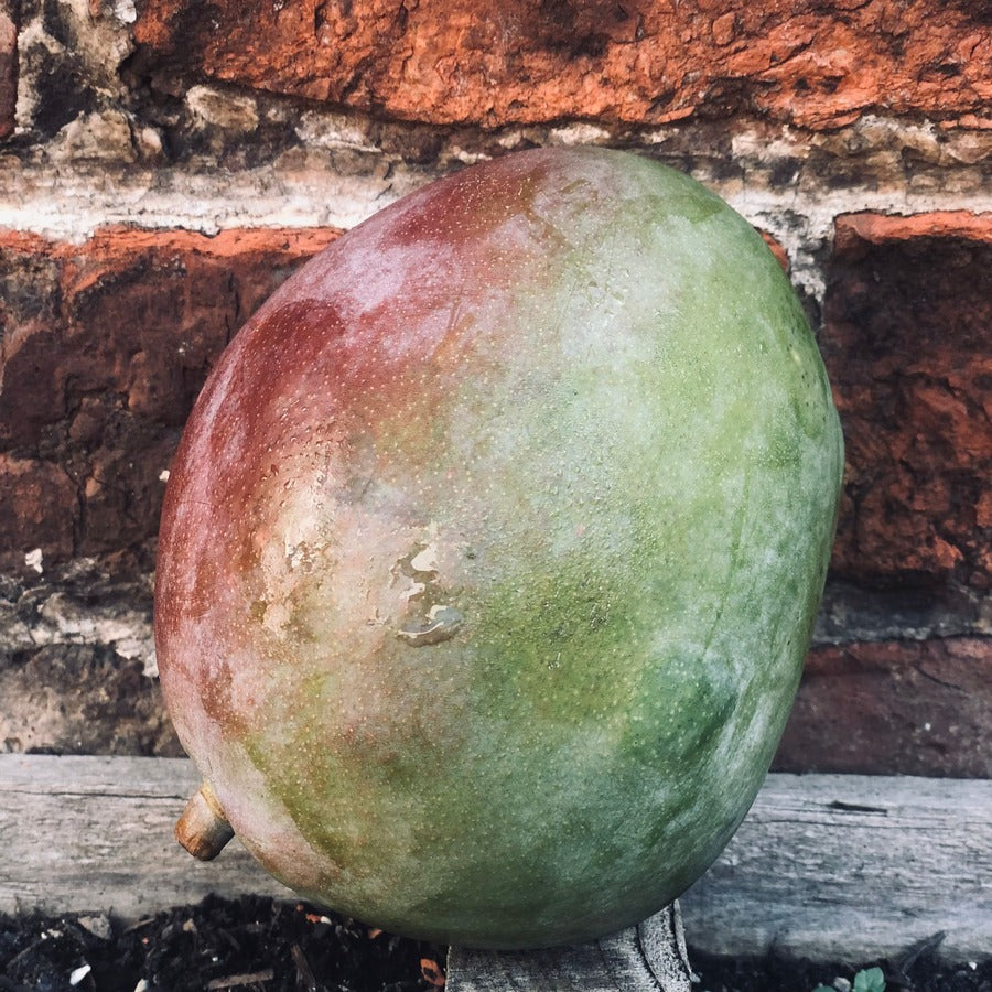 Organic Mango