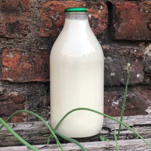 Oato Milk