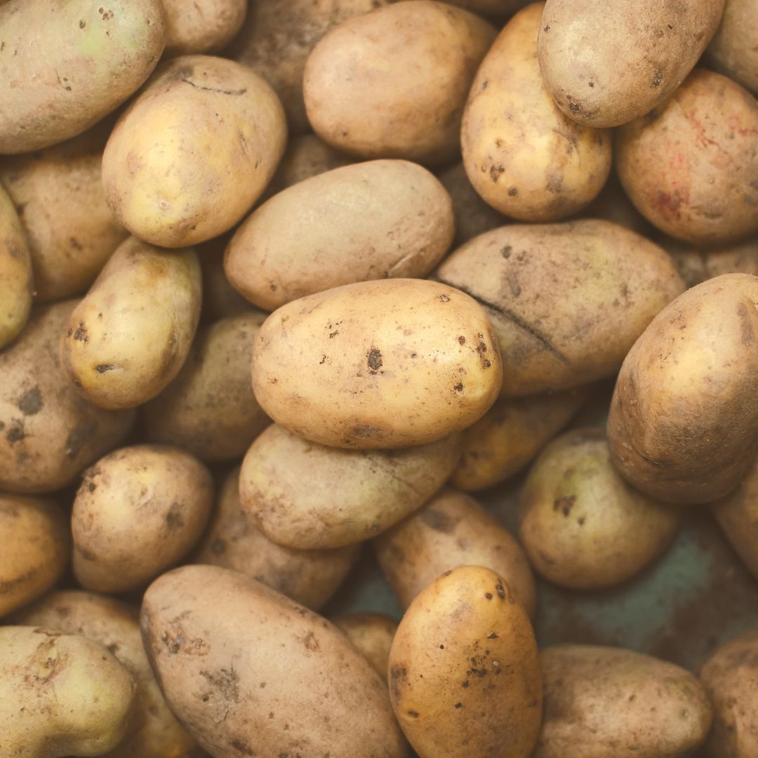Organic Potatoes