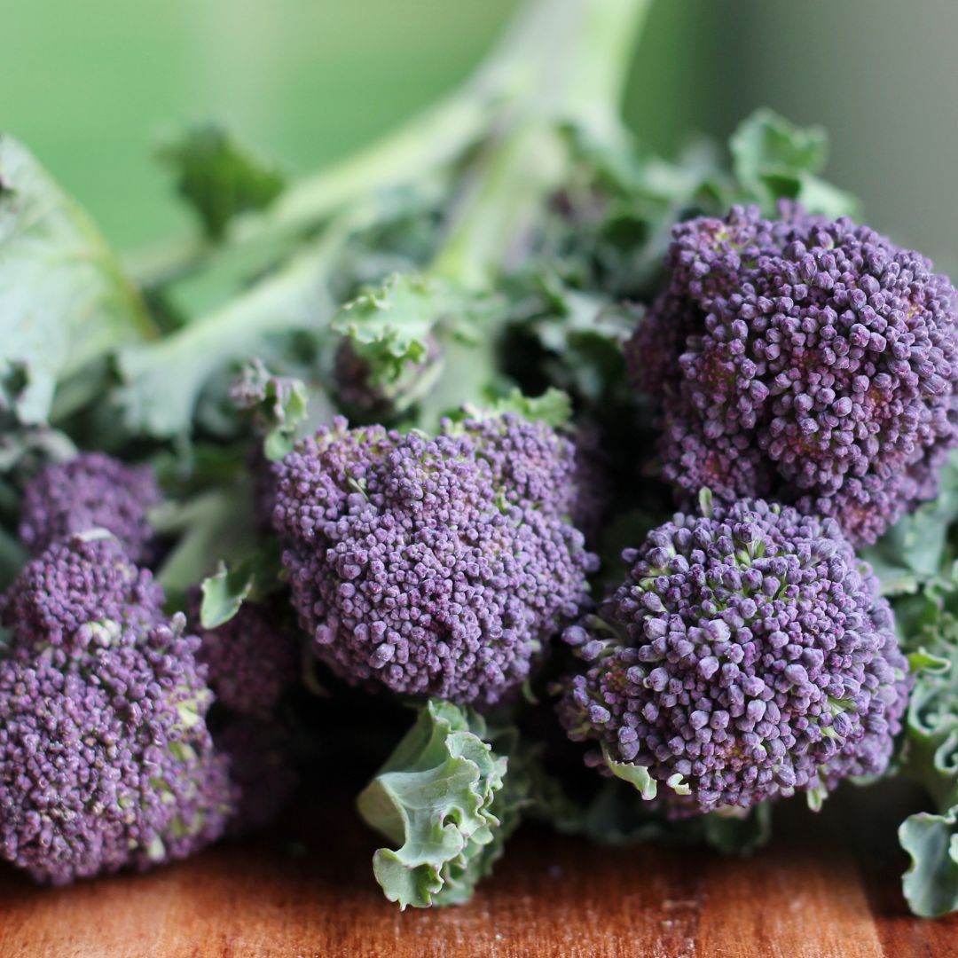 Organic Purple Sprouting Broccoli