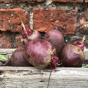 Organic Beetroot