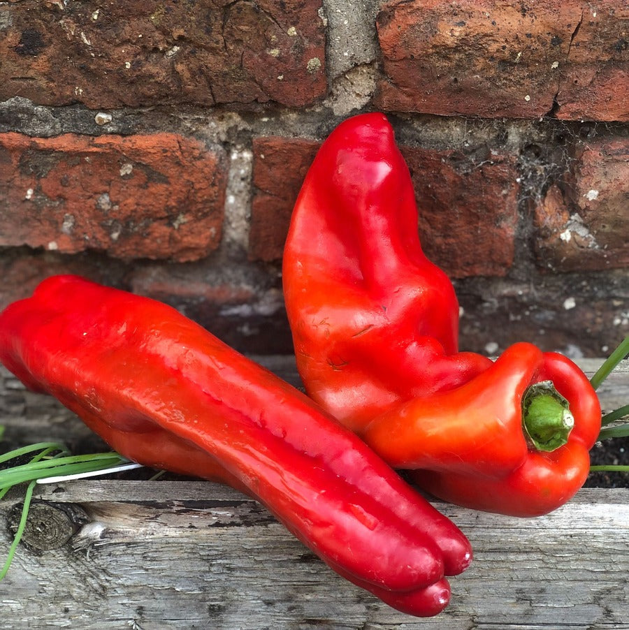 Organic Red Ramiro Pepper