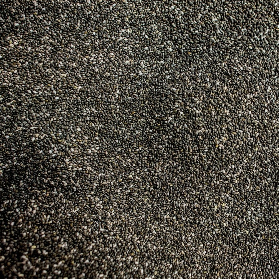 SALE Blue Poppy Seeds BB/July 25