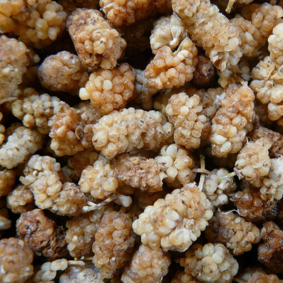 Dried Mulberries
