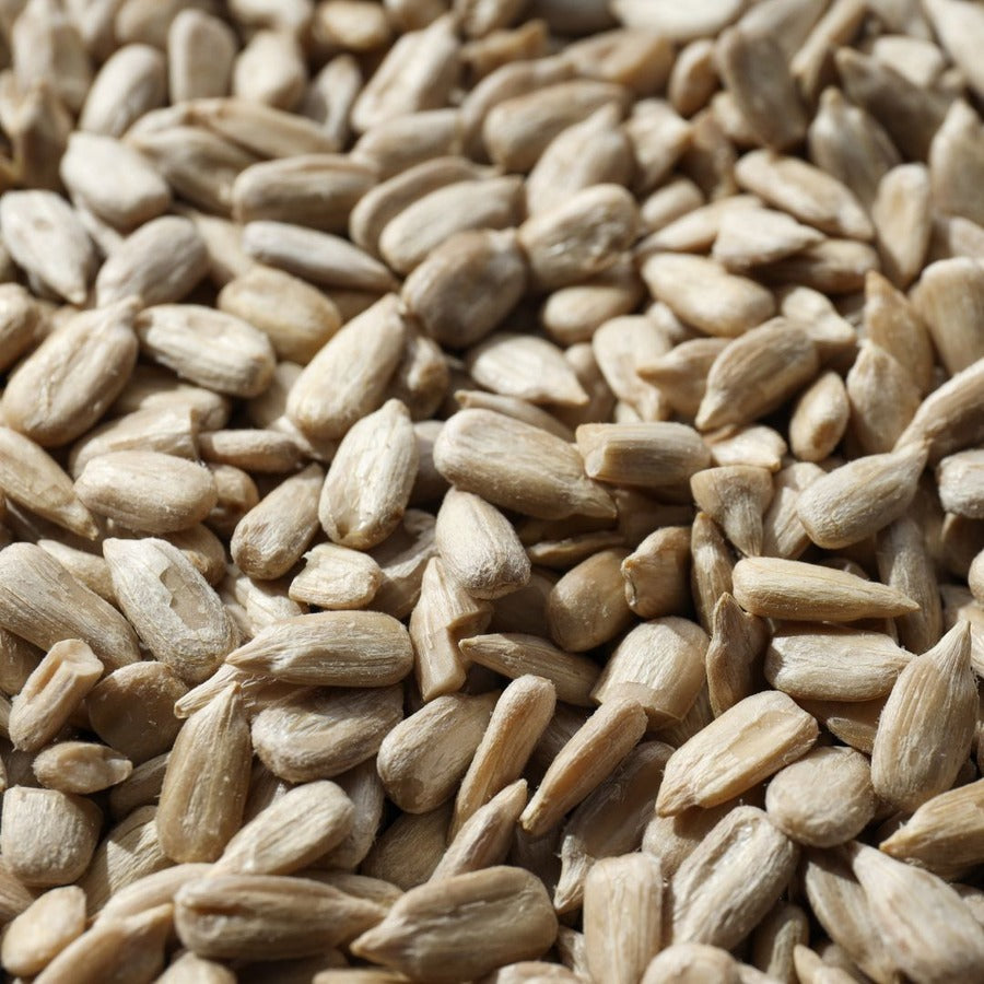 SALE Sunflower Seeds BB/Aug 25