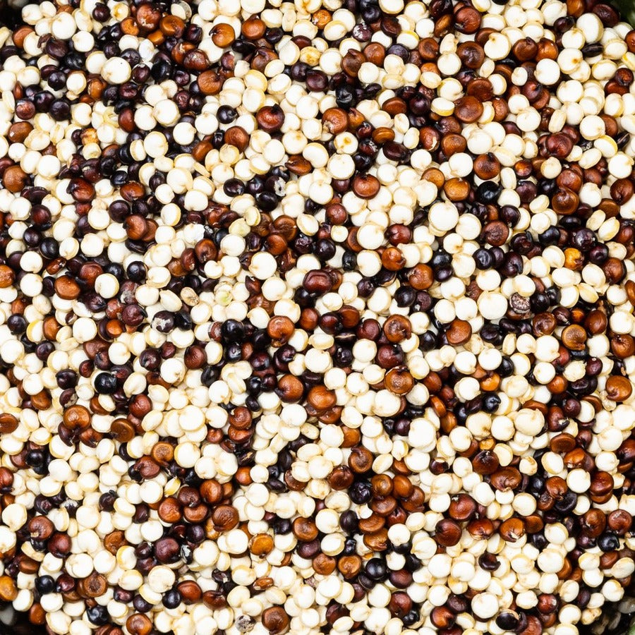Organic Tri-Colour Quinoa