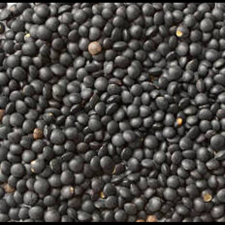 Beluga (Black) Lentils