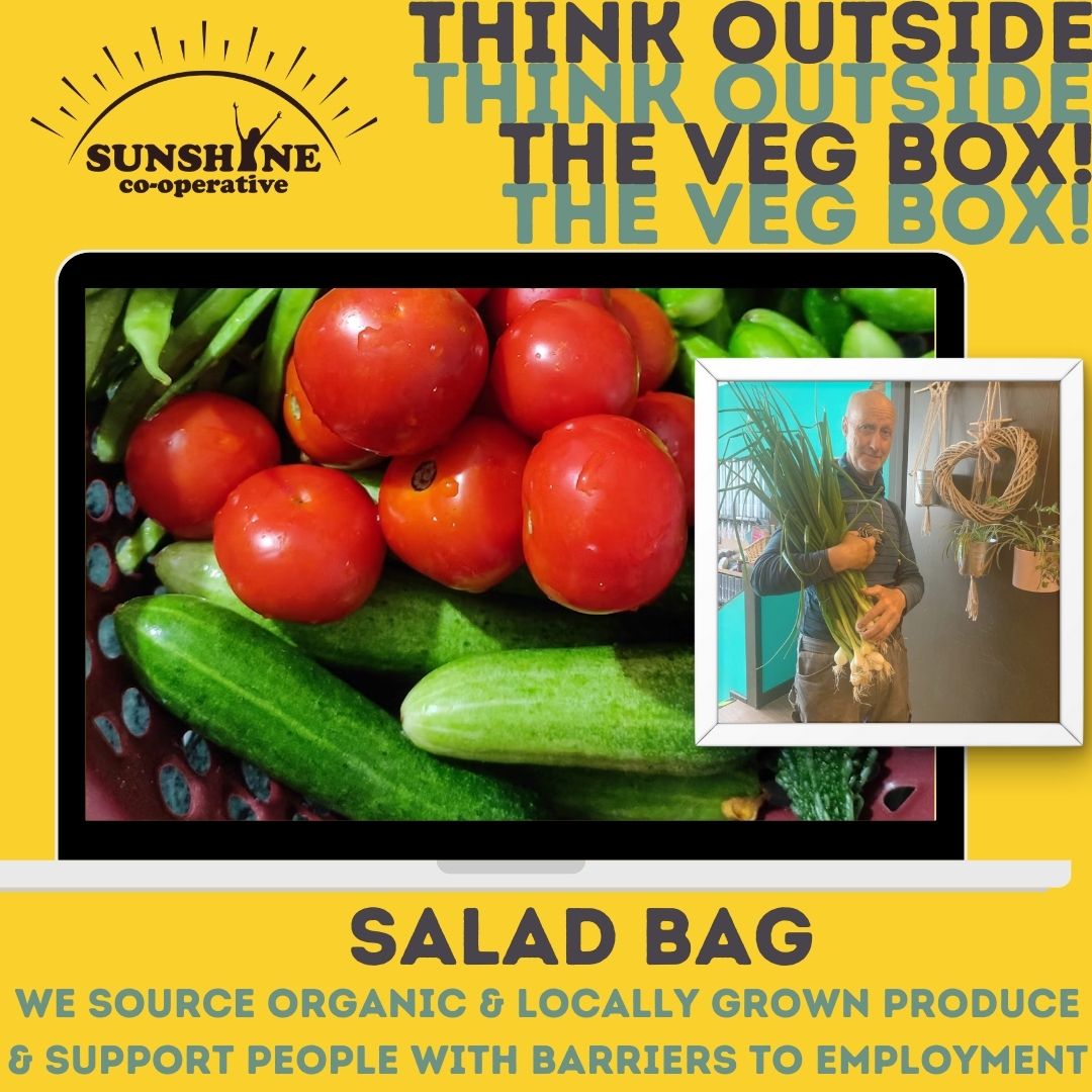 Salad Box