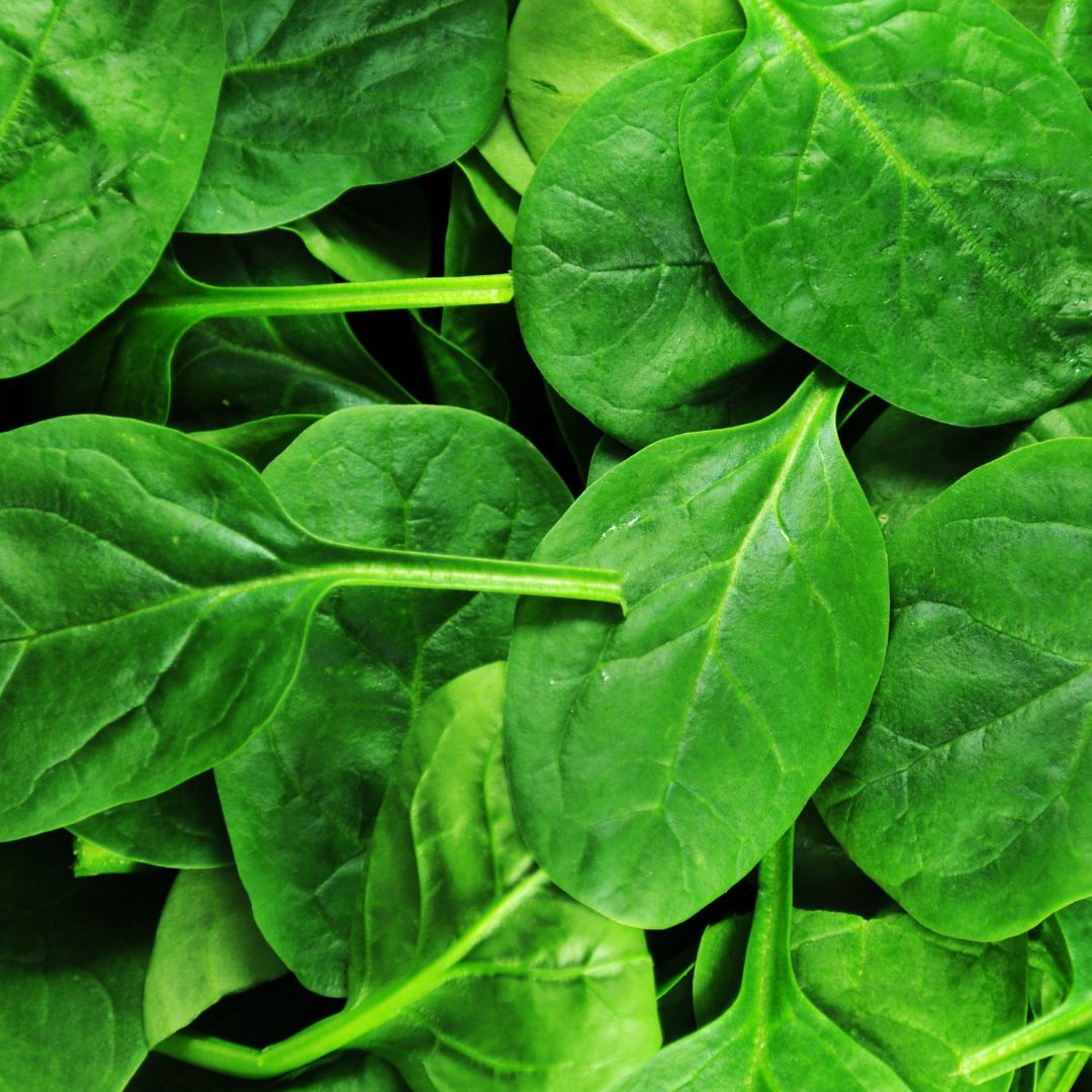 Organic Spinach