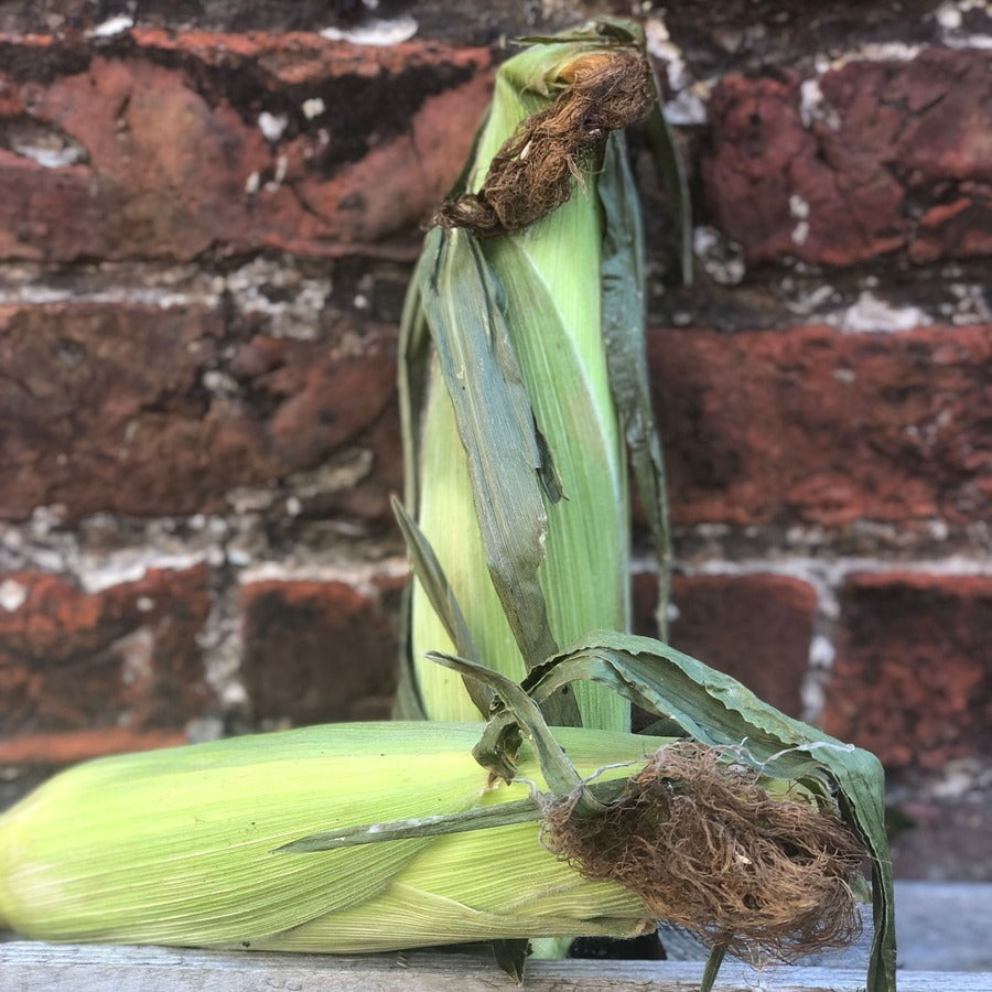 Organic Sweetcorn