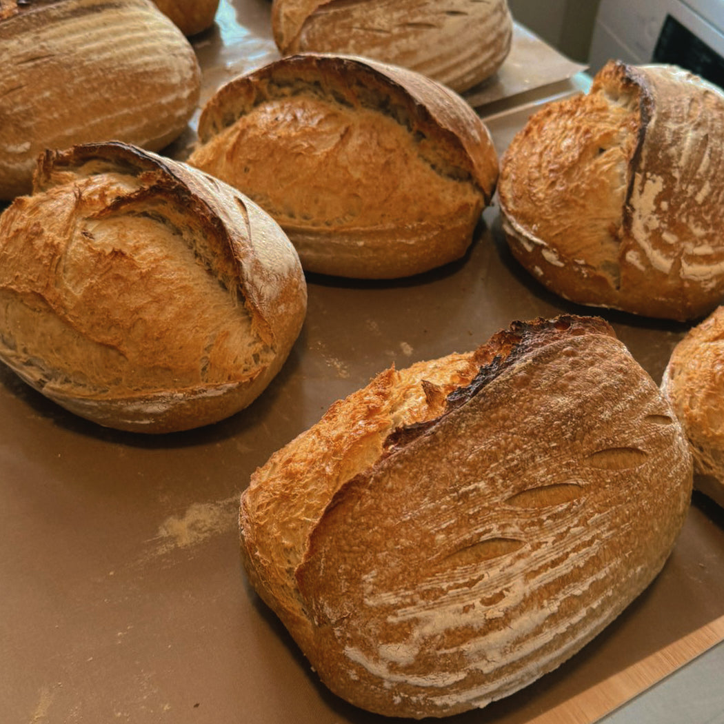 Sourdough