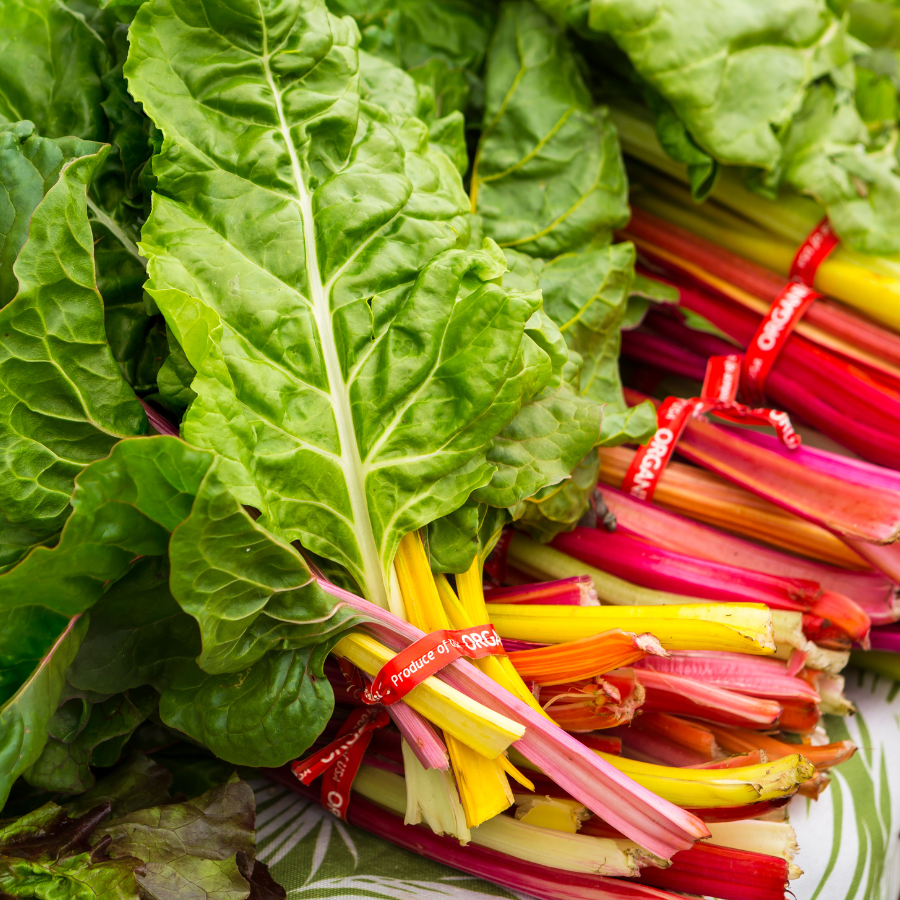 Organic Chard