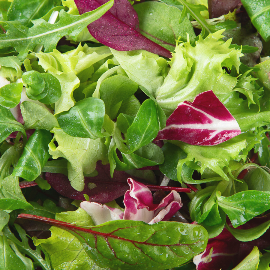 Organic Salad Bag