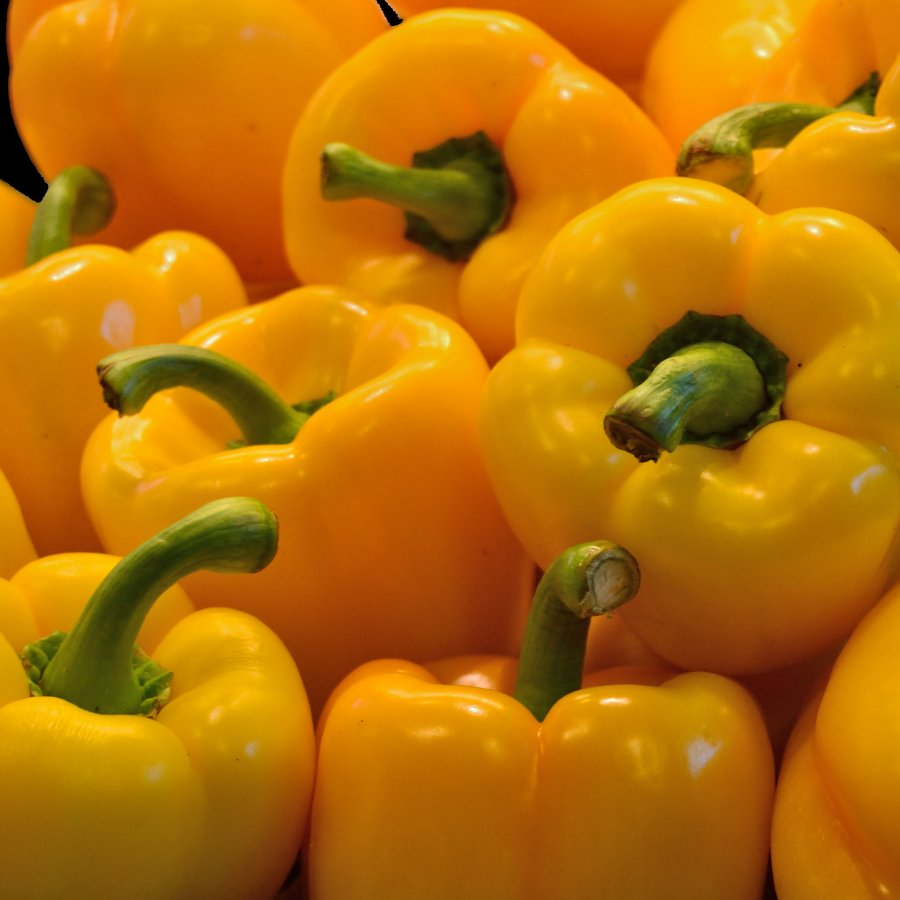 Organic Yellow Pepper