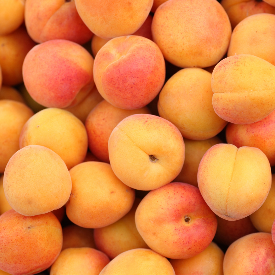Organic Apricots
