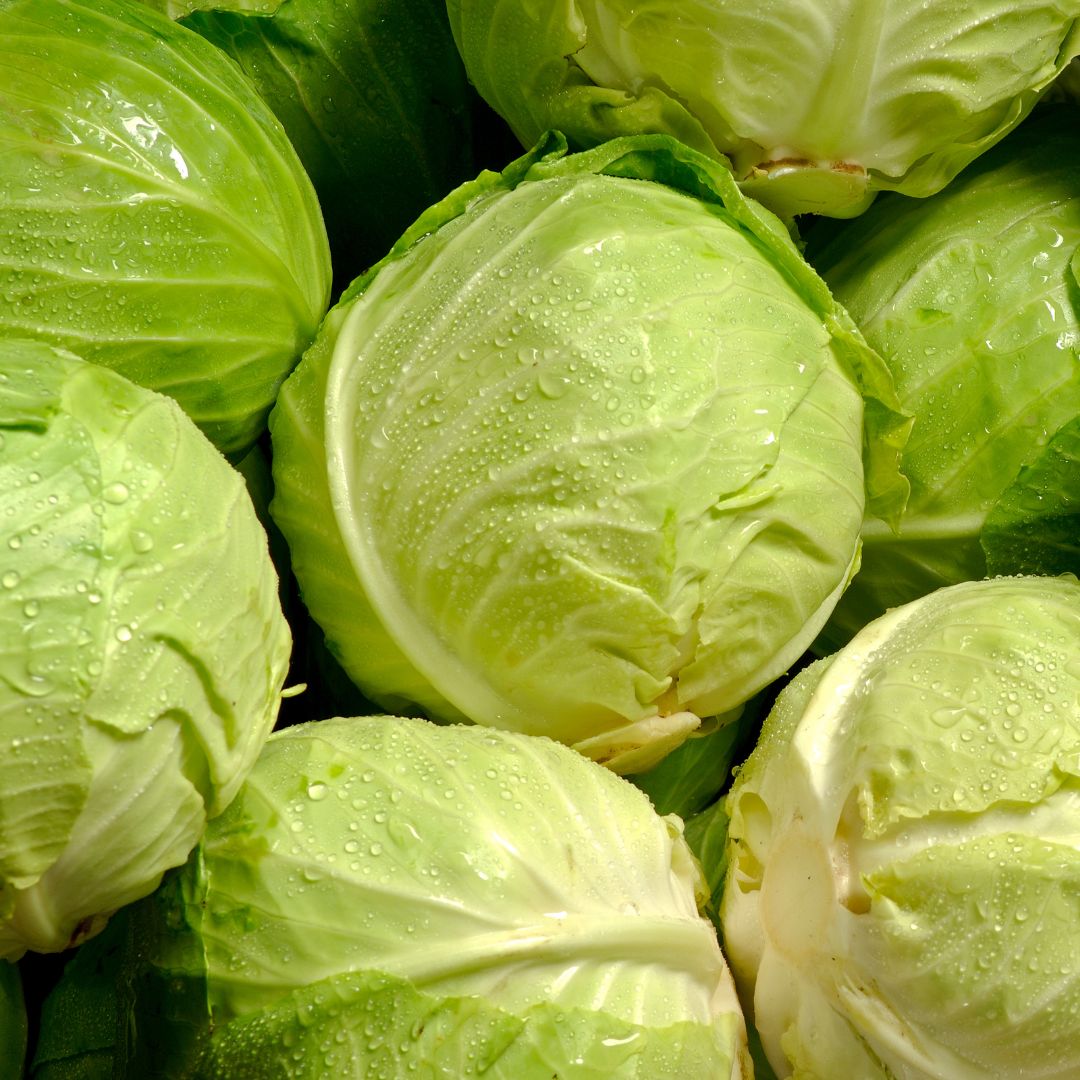 Organic White Cabbage