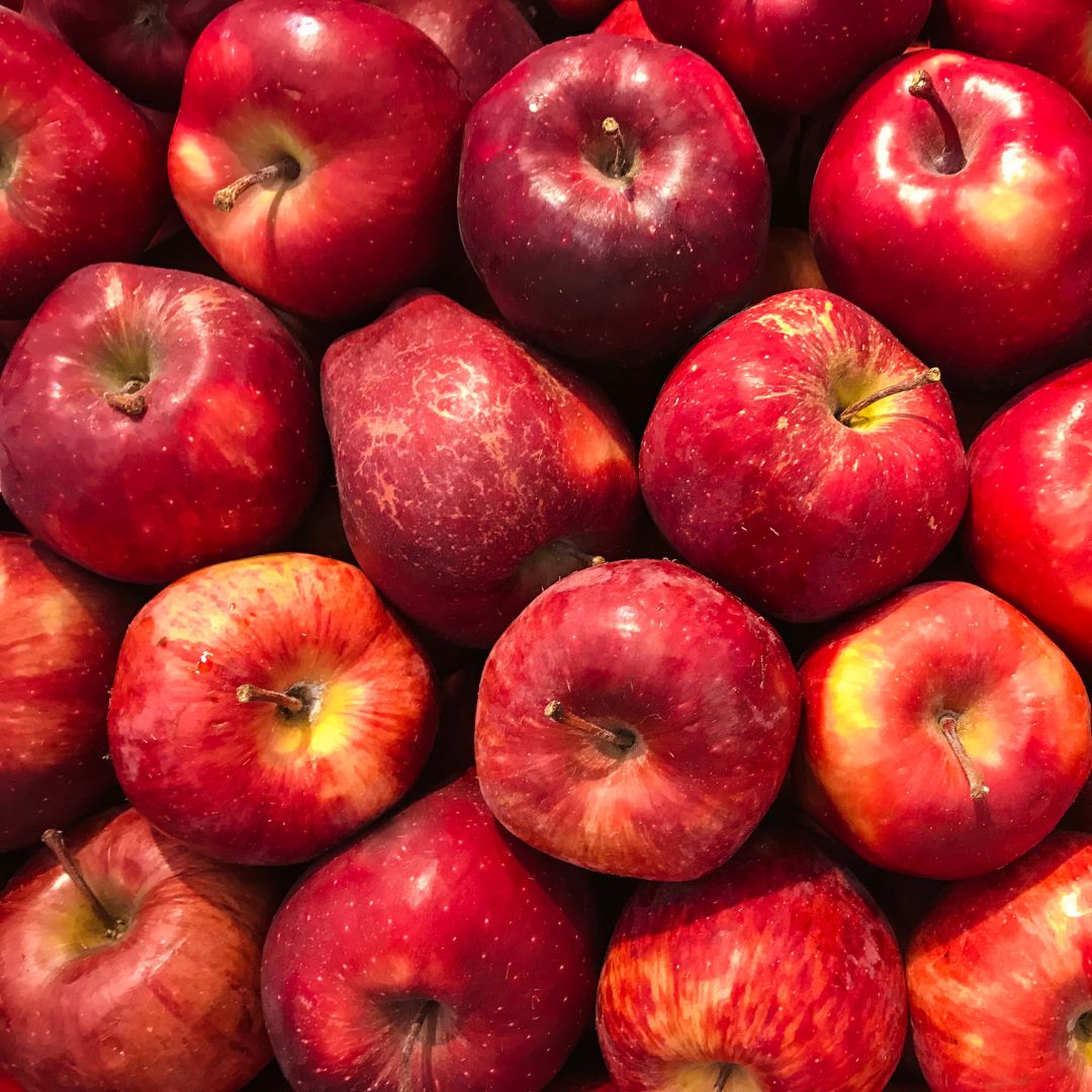 Organic Apples (Red Windsor)