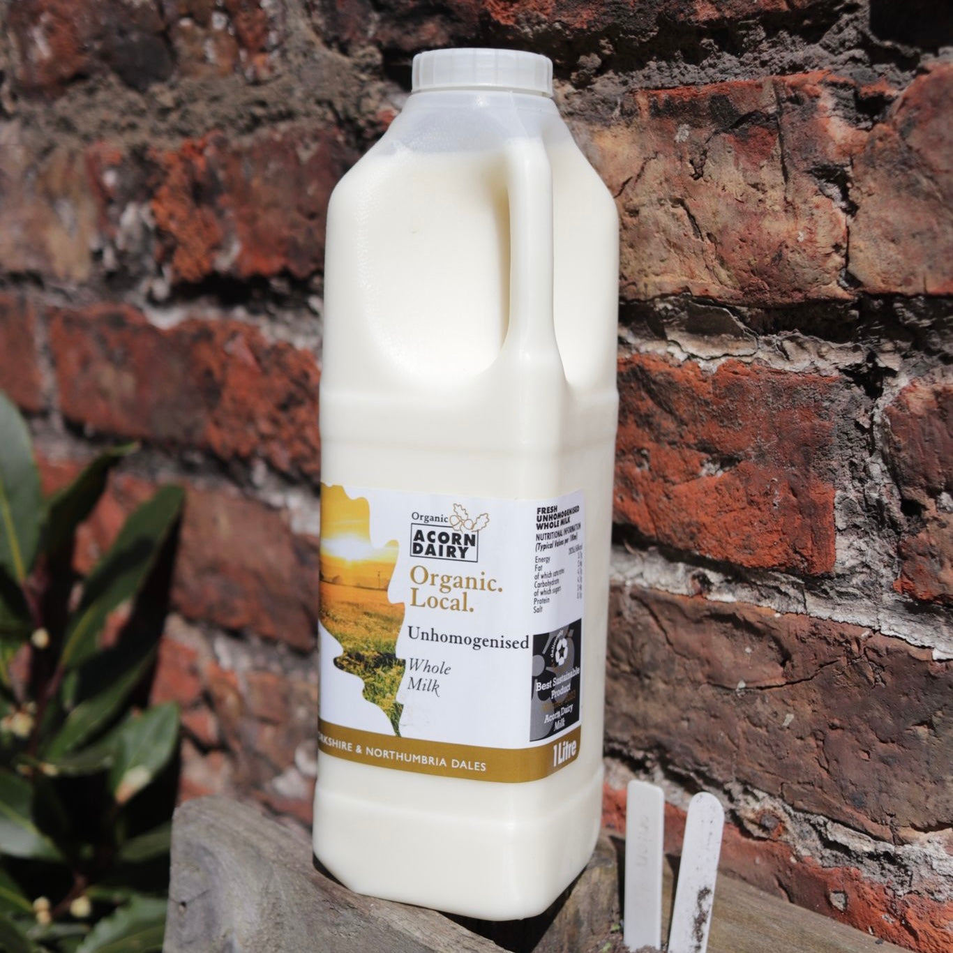 Organic Milk