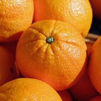 Organic Oranges