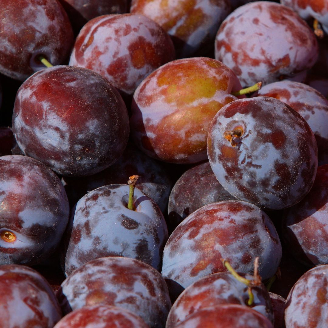 Organic Plums
