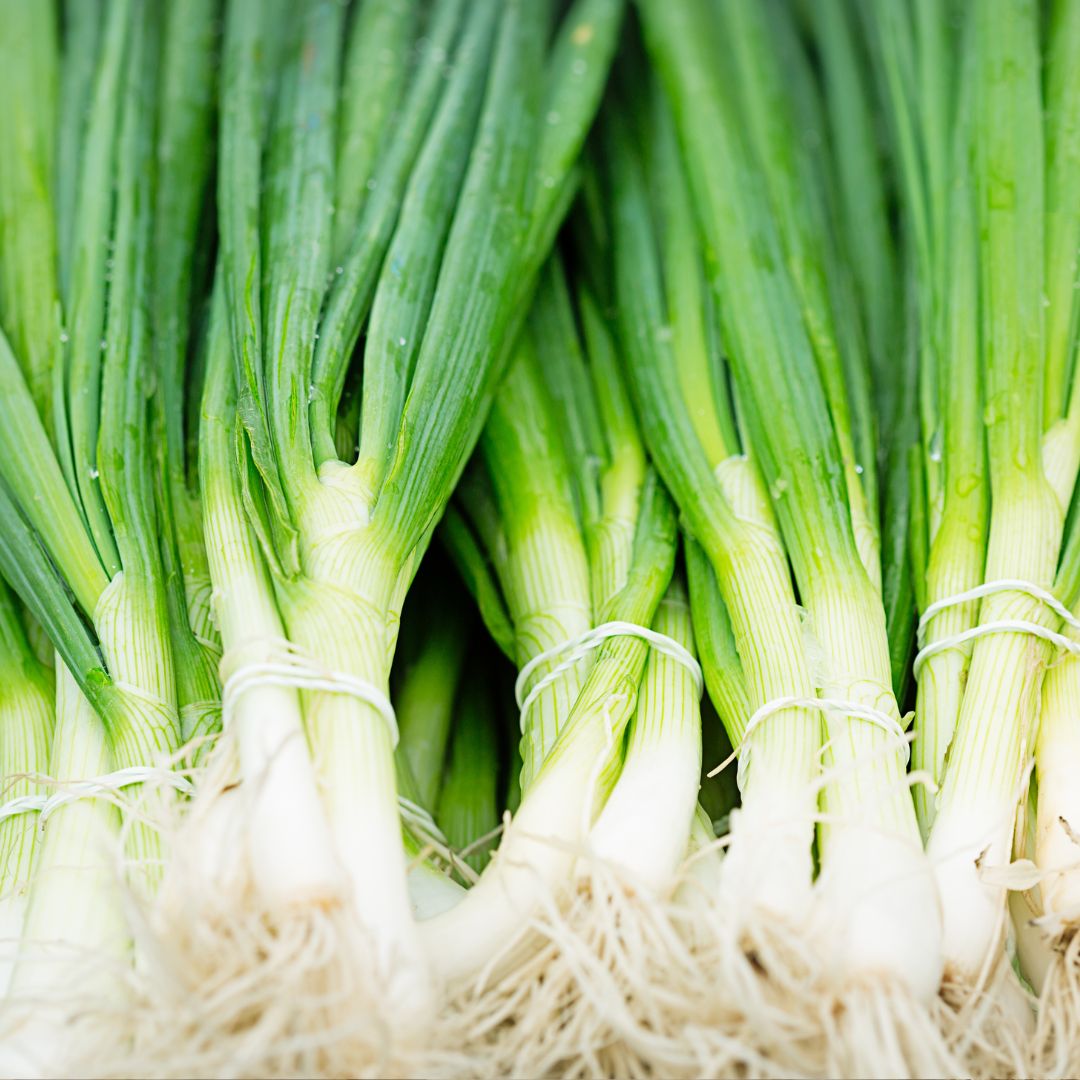 Organic Salad Onions