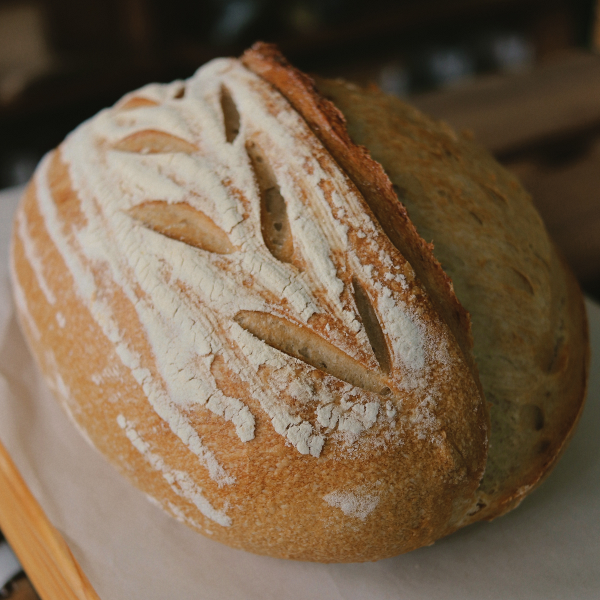 Sunbaked Sourdough