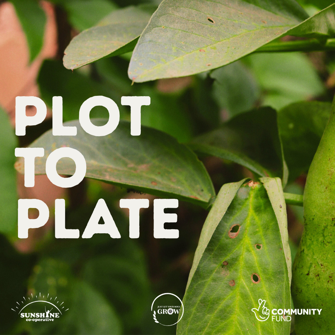 Plot To Plate | 22nd September | 1pm | JLYSG X SC
