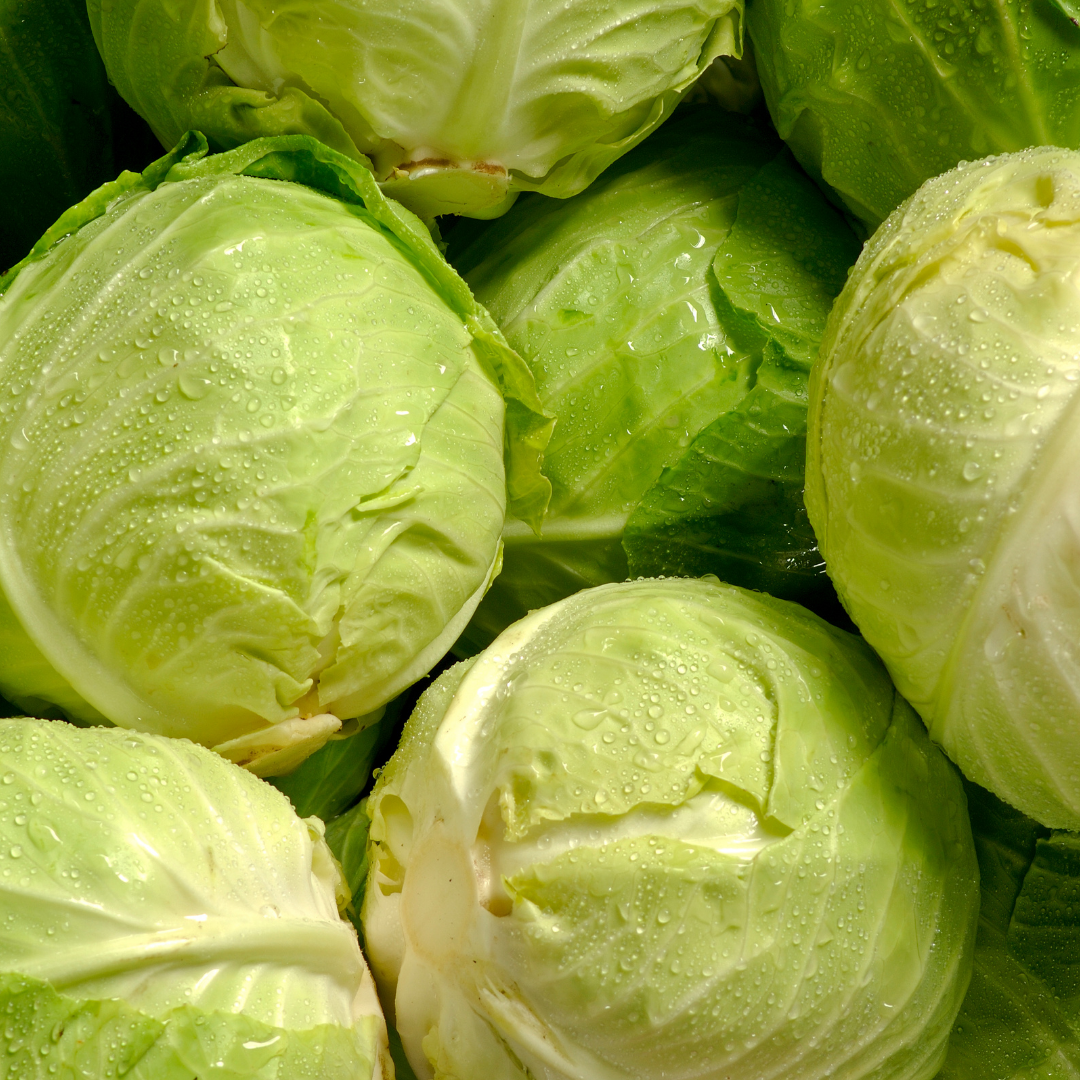 Organic Tundra Cabbage